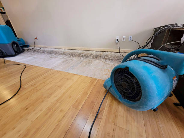 Professional Sewage Cleanup technician working in Lake Helen, FL